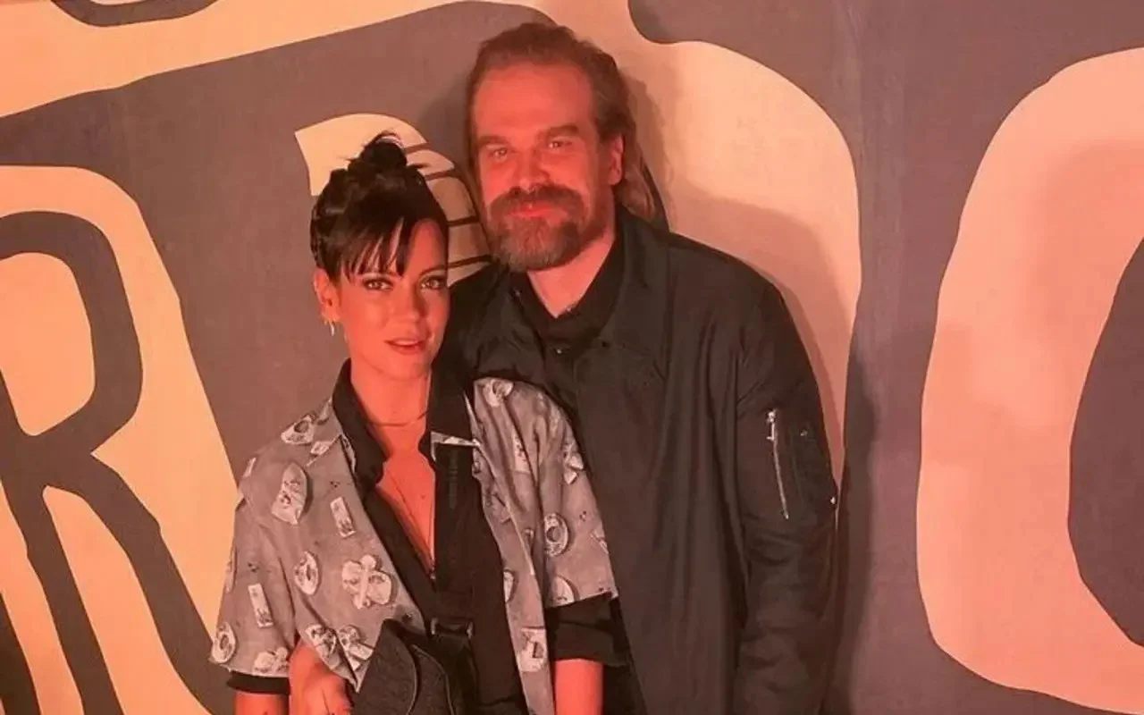 David Harbour Breaks Silence on Lily Allen Split and 'Salacious' Rumors
