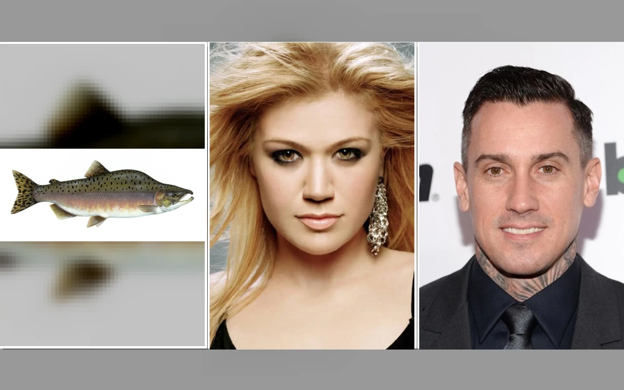 Pink Addresses Divorce Rumors While Guest-Hosting Kelly Clarkson Show