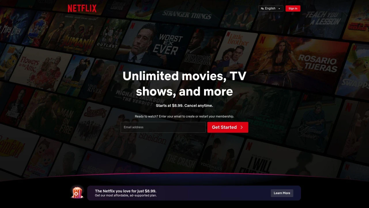 Netflix streaming interface