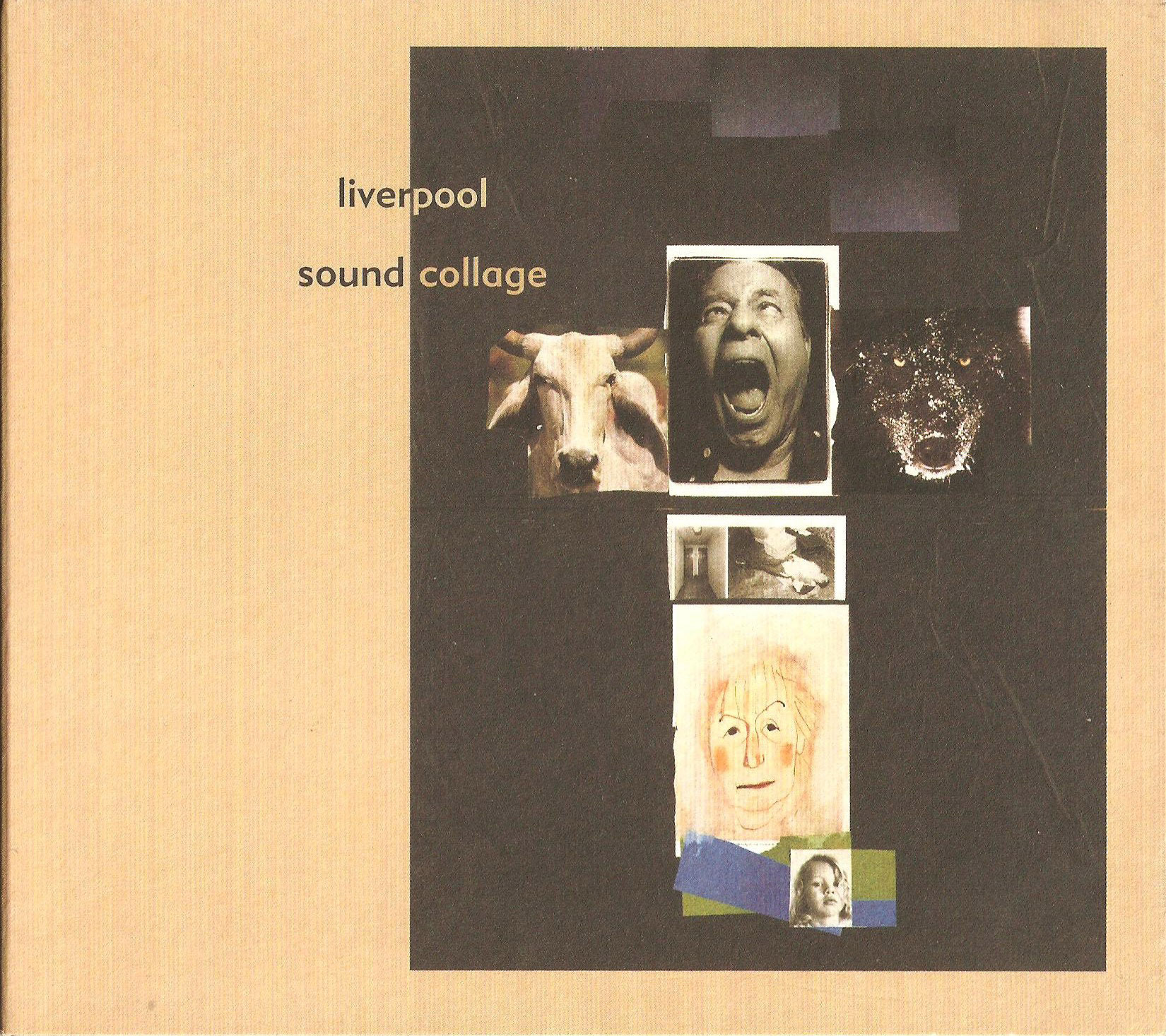 album / discography