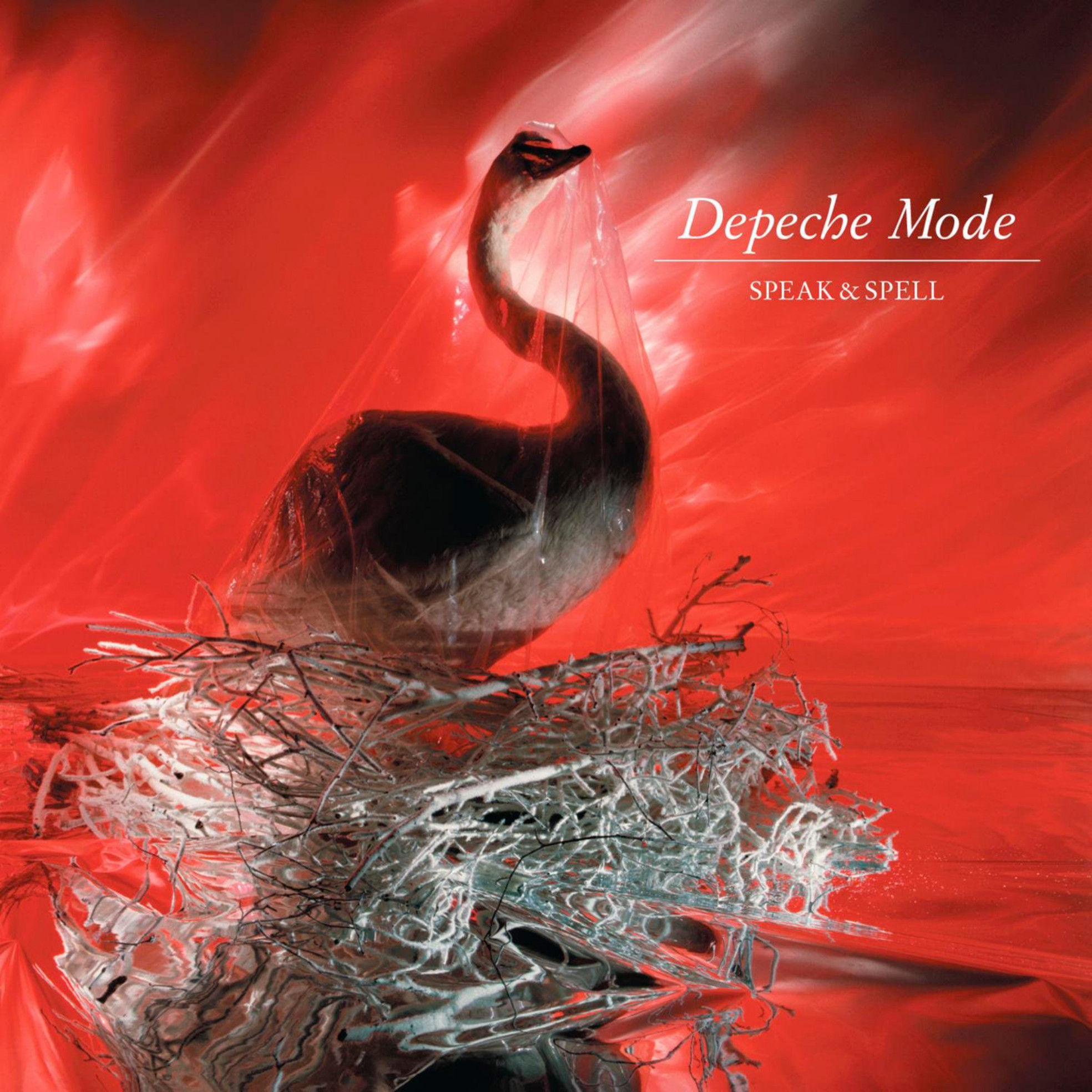album / discography