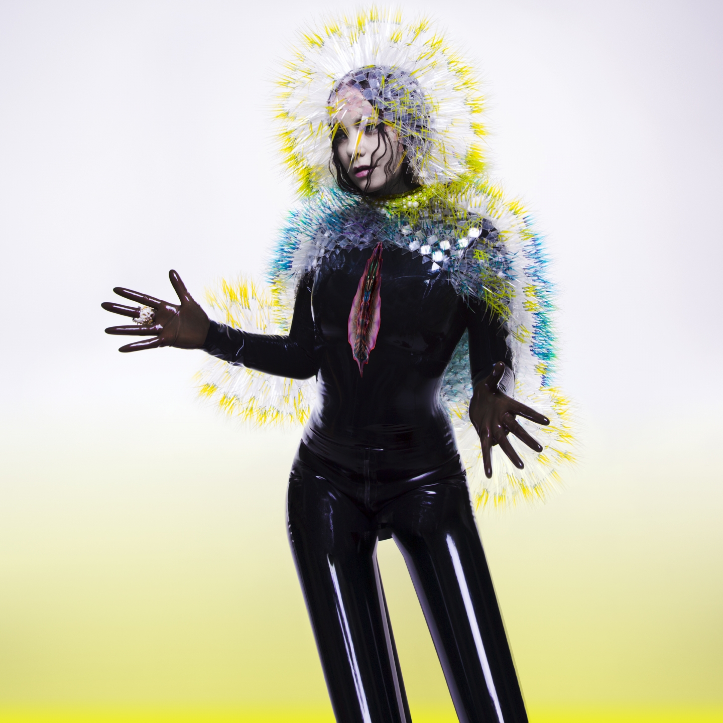 album / discography