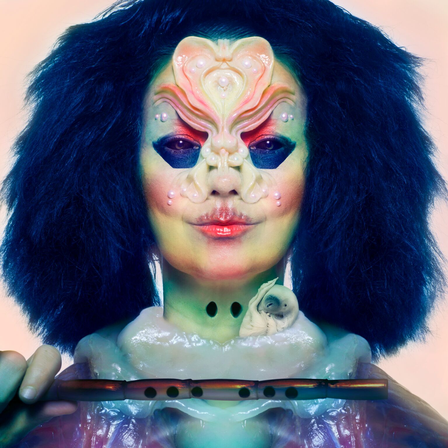 album / discography