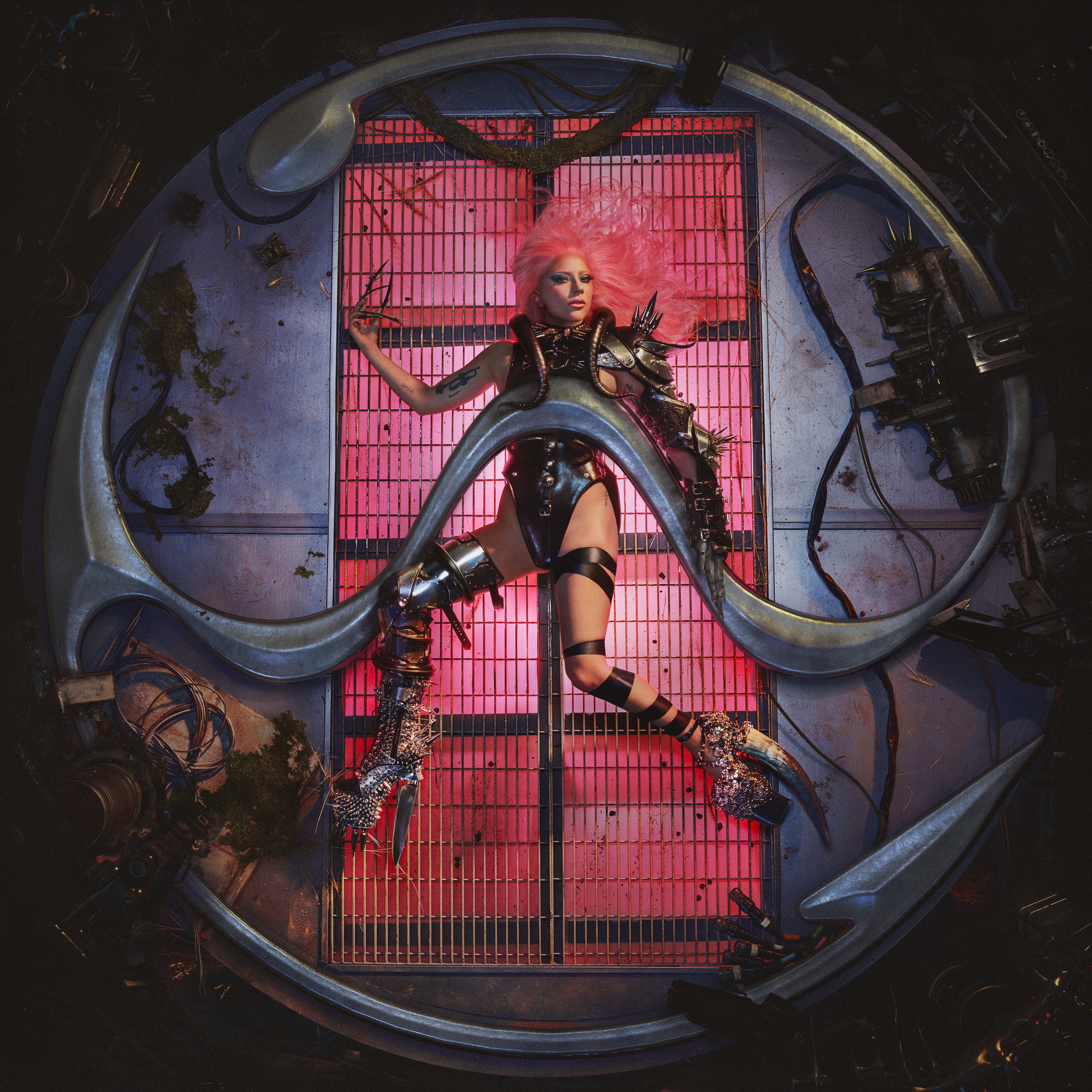 album / discography