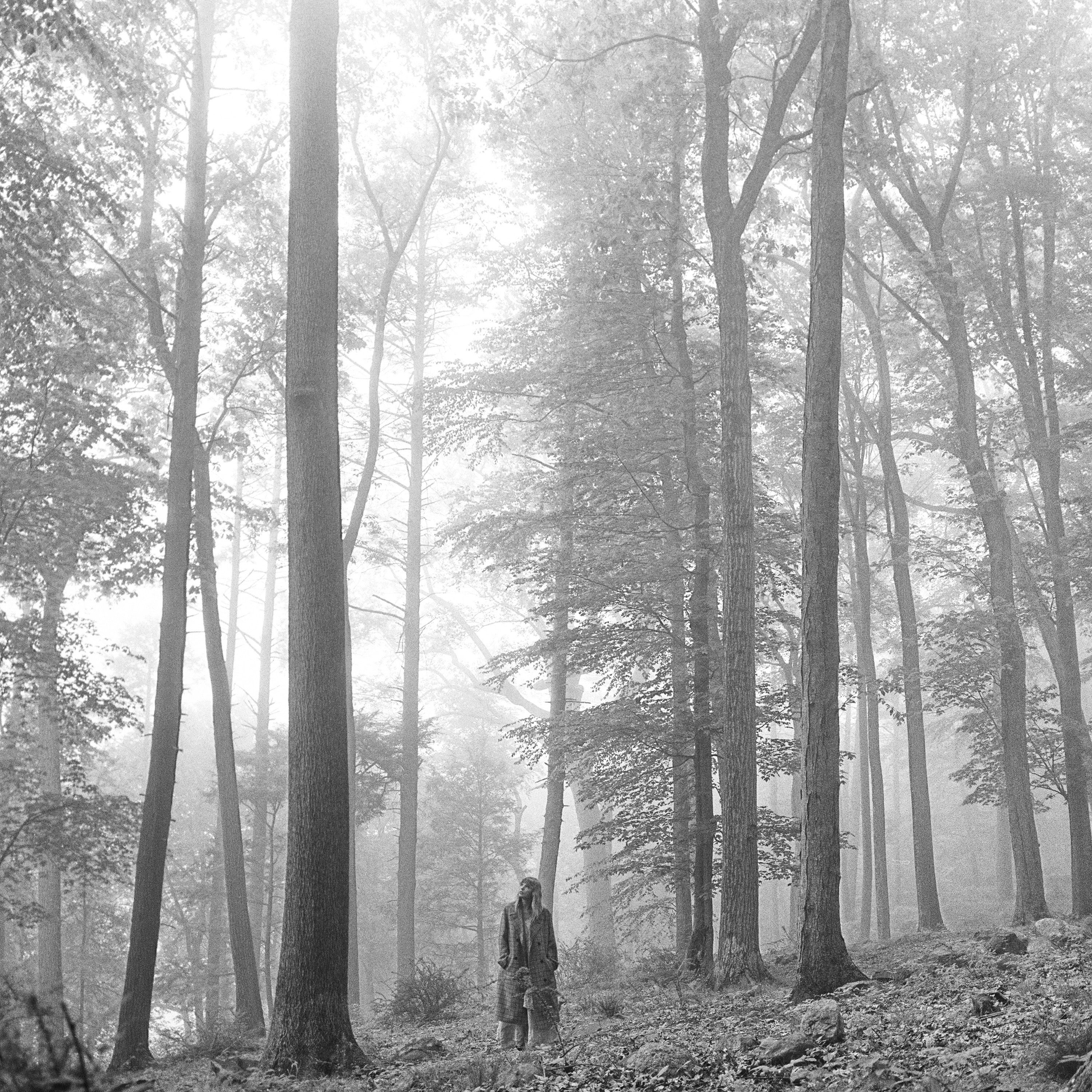 album / discography