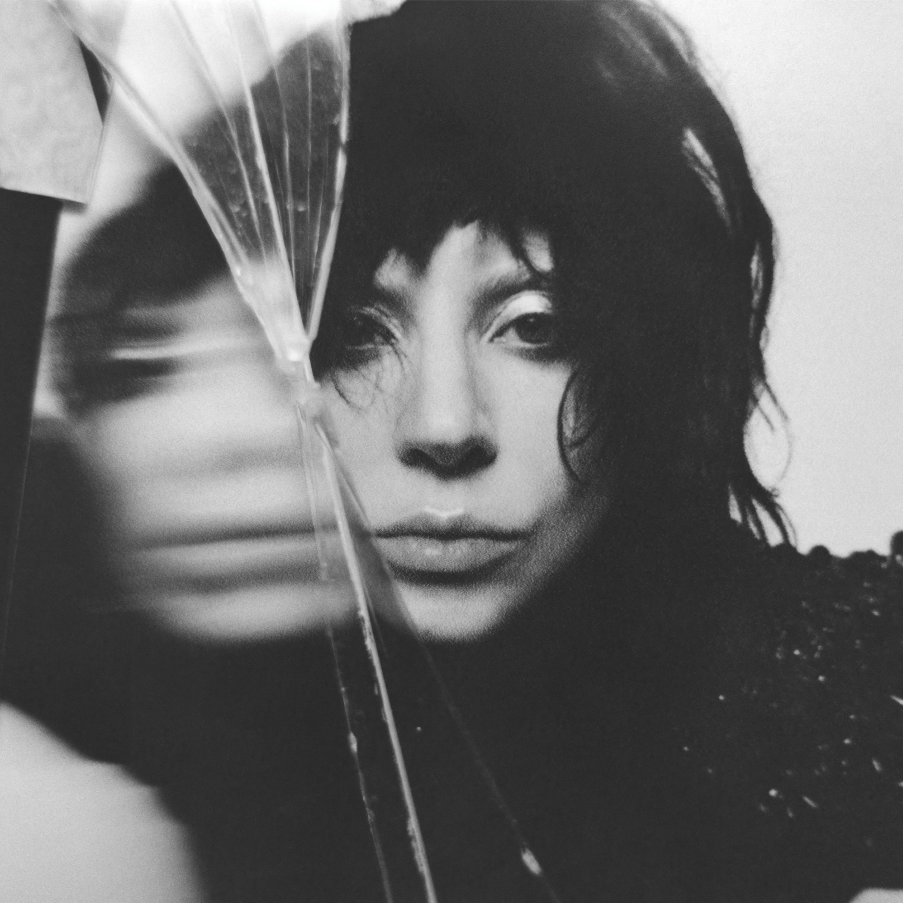 album / discography