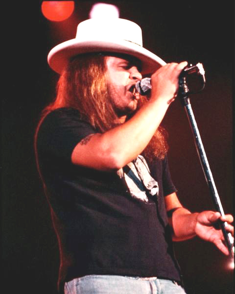 Lynyrd Skynyrd<br>