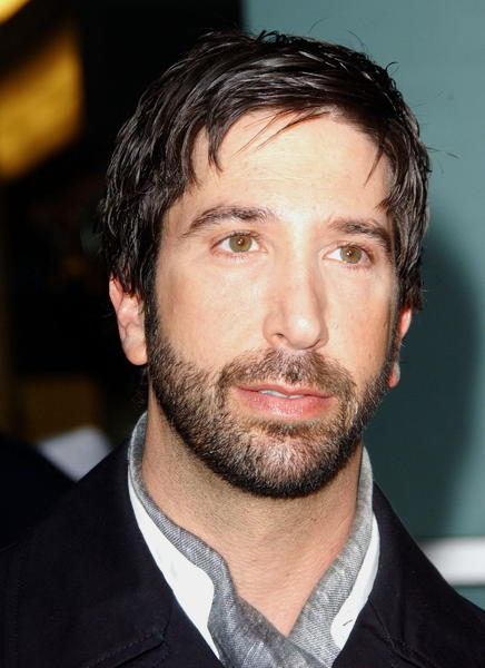 David Schwimmer<br>