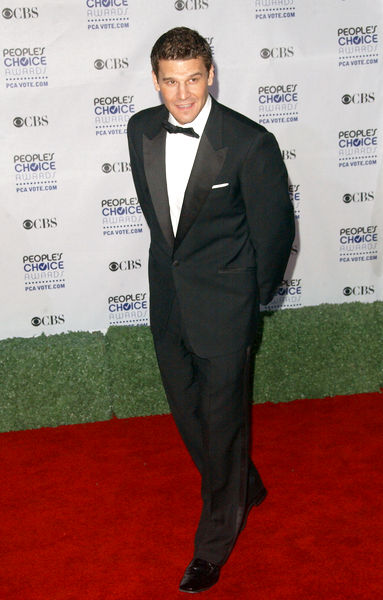 David Boreanaz<br>35th Annual People's Choice Awards - Arrivals
