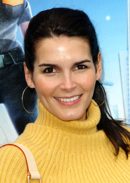 Angie Harmon<br>