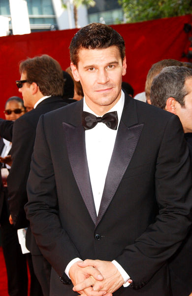 David Boreanaz<br>The 61st Annual Primetime Emmy Awards - Arrivals