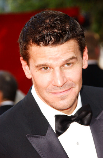 David Boreanaz<br>The 61st Annual Primetime Emmy Awards - Arrivals