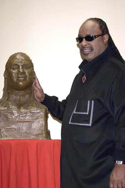 Stevie Wonder<br>20th Annual Soul Train Music Awards