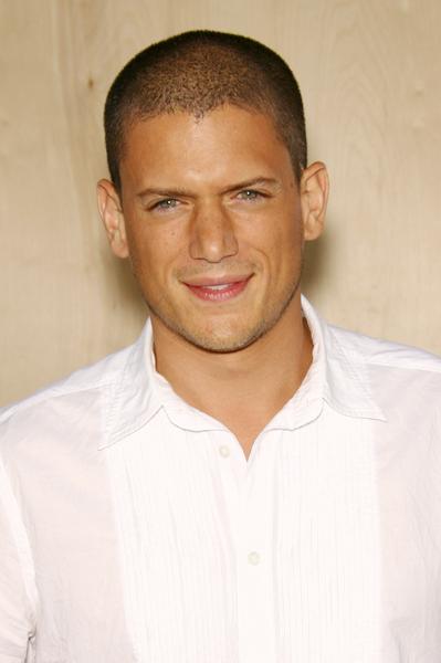 Wentworth Miller<br>FOX TCA All Star Party at the Pier