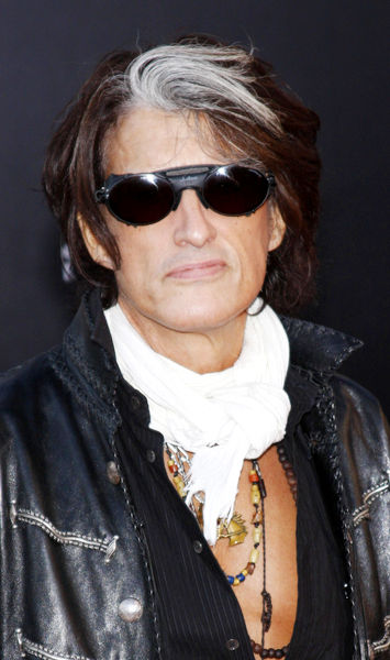 Joe Perry<br>2009 American Music Awards - Arrivals