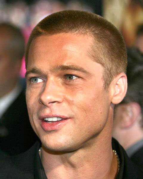 Brad Pitt;<br>Troy