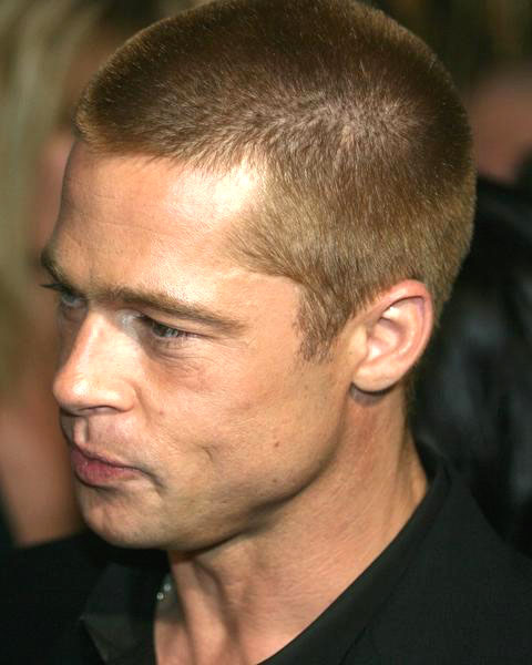 Brad Pitt<br>Troy