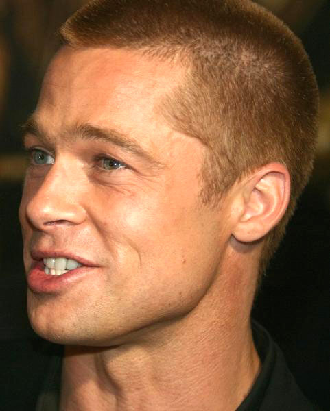 Brad Pitt<br>Troy