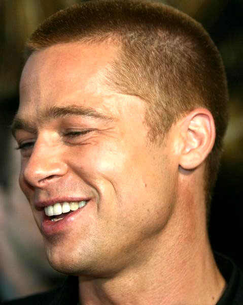 Brad Pitt<br>Troy