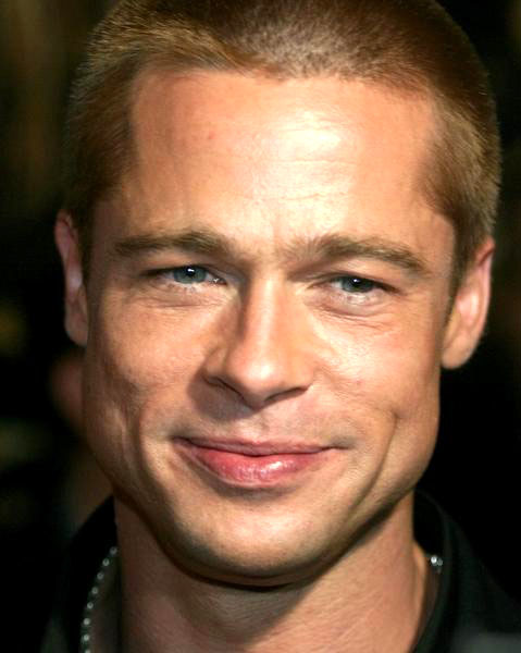 Brad Pitt<br>Troy