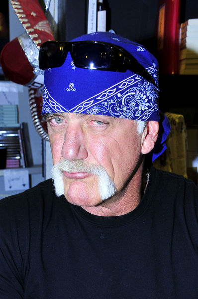 Hulk Hogan<br>Hulk Hogan 