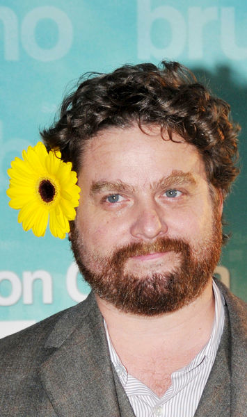 Zach Galifianakis<br>