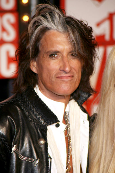 Joe Perry<br>2009 MTV Video Music Awards - Arrivals