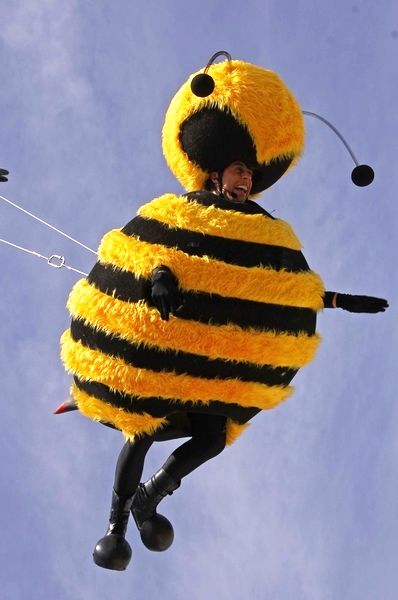 Jerry Seinfeld<br>2007 Cannes Film Festival Photocall - The Bee Movie