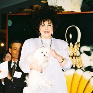 Elizabeth Taylor; in 
