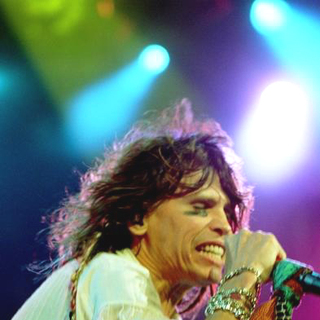 Aerosmith Performs Live at the Tweeter Center