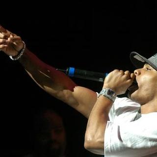 Nellyville Tour at the Arie Crown Theatre Featuring Nelly, Fat Joe, and T.I.