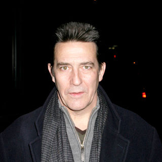Ciaran Hinds in "Miss Pettigrew Lives for a Day" New York Premiere - Arrivals