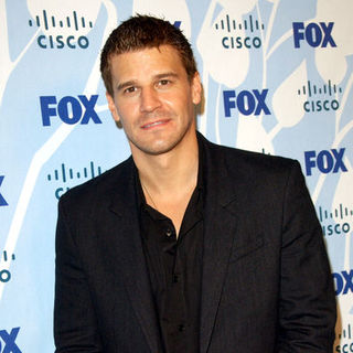 David Boreanaz; in The FOX Fall Eco-Casino Wheel for Charity - Arrivals