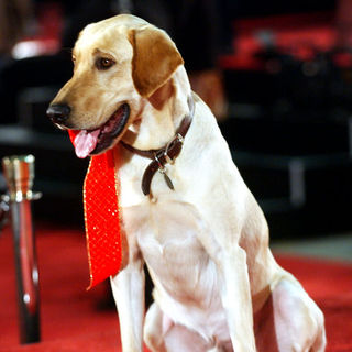 "Marley & Me" Los Angeles Premiere - Arrivals