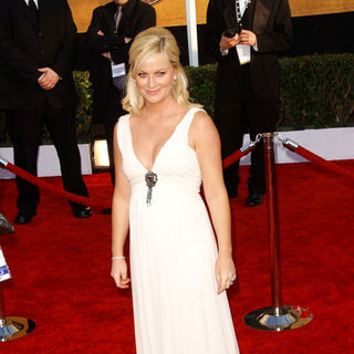 Amy Poehler in 15th Annual Screen Actors Guild Awards - Arrivals