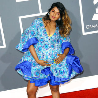 M.I.A.; in The 51st Annual GRAMMY Awards - Arrivals