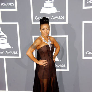 The 51st Annual GRAMMY Awards - Arrivals