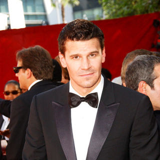 David Boreanaz in The 61st Annual Primetime Emmy Awards - Arrivals