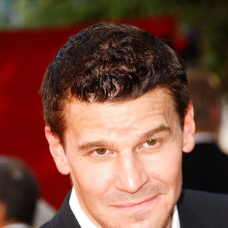 David Boreanaz in The 61st Annual Primetime Emmy Awards - Arrivals