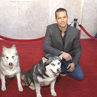 Paul Walker; in Eight Below World Premiere