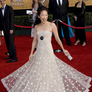 13th Annual Screen Actors Guild Awards - Arrivals