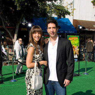 David Schwimmer in "Madagascar: Escape 2 Africa" Los Angeles Premiere - Arrivals