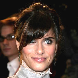 Amanda Peet; in The Family Stone Los Angeles Premiere