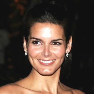 Angie Harmon; in Fun With Dick and Jane Los Angeles Premiere