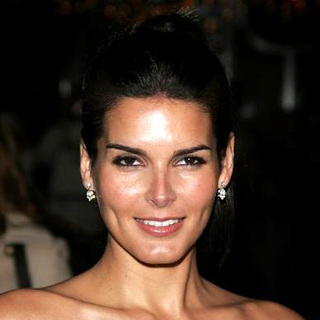 Angie Harmon; in Fun With Dick and Jane Los Angeles Premiere