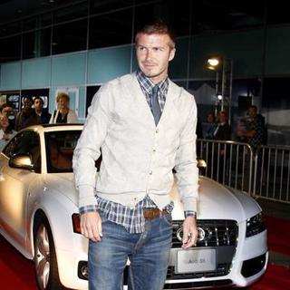 David Beckham; in "Lions For Lambs" AFI Fest Premiere - Arrivals