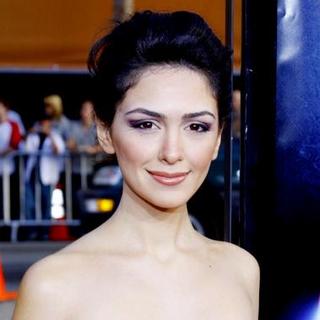 Nazanin Boniadi; in "Iron Man" Los Angeles Premiere - Arrivals