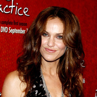 Amy Brenneman; in "Private Practice" Season One DVD Launch - Arrivals