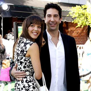 David Schwimmer in "Madagascar: Escape 2 Africa" Los Angeles Premiere - Arrivals