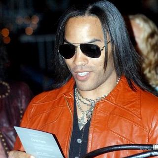 Lenny Kravitz in Aerosmith Concert Crowd